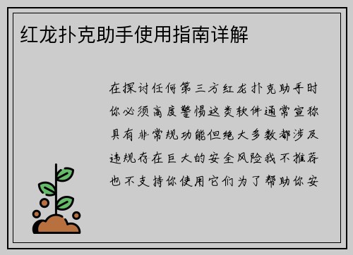 红龙扑克助手使用指南详解